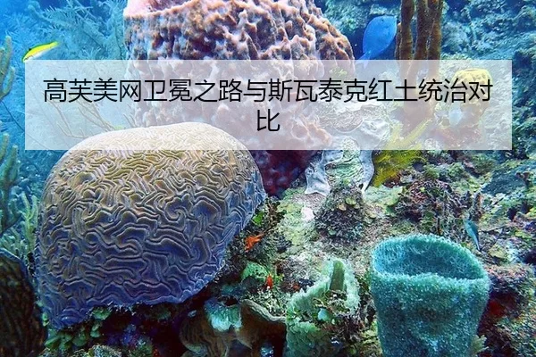 高芙美网卫冕之路与斯瓦泰克红土统治对比